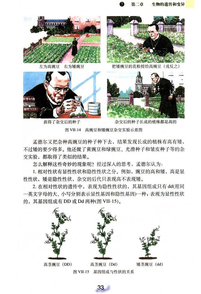 第二节 基因在亲子代间的传递(第31页)