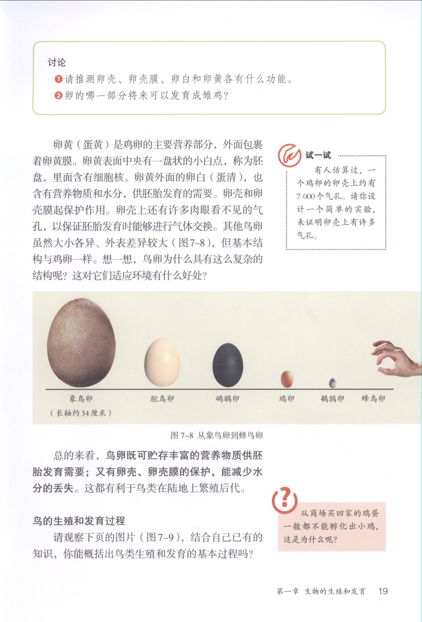 第四节 鸟的生殖和发育(第17页)