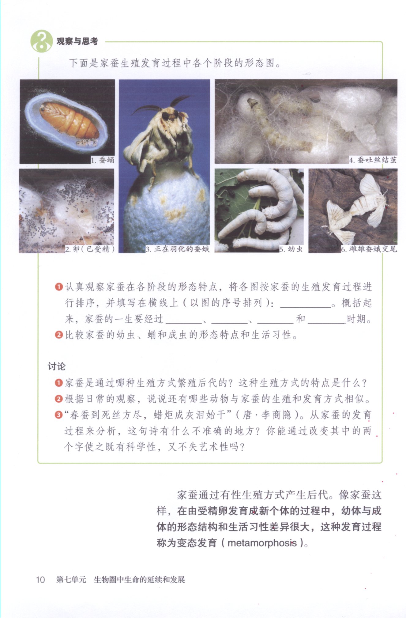 科学・技术・社会 植物的组织培养(第8页)