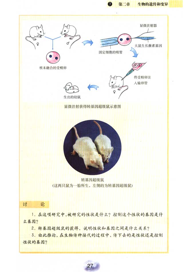 第一节 基因控制生物的性状(第25页)