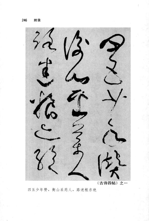 欣赏唐人草书(第246页)