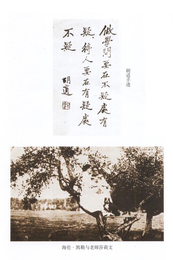 封面/前言/目录