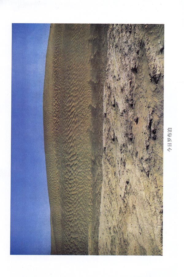 封面/前言/目录