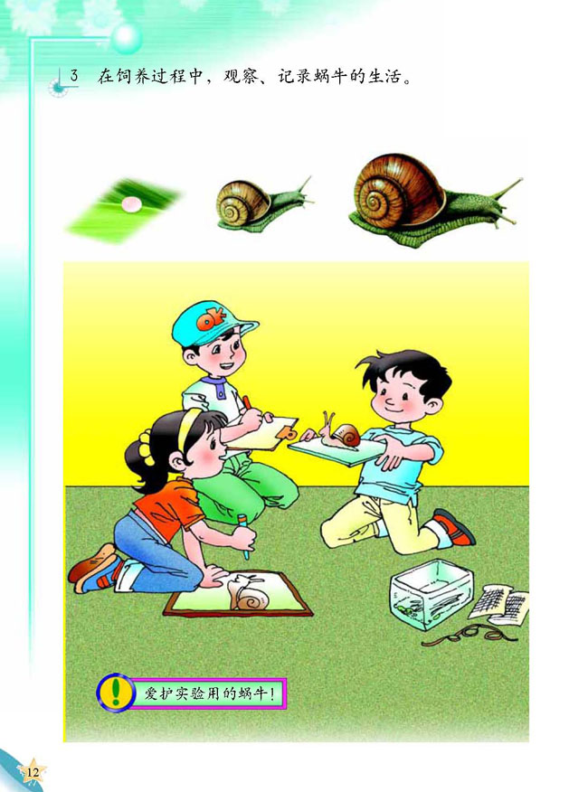 人教版二年级科学第三册(03生活与科技)电子课本3 蜗牛天地(第12页)