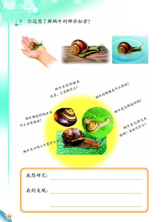 人教版二年级科学第三册(03生活与科技)电子课本3 蜗牛天地(第14页)