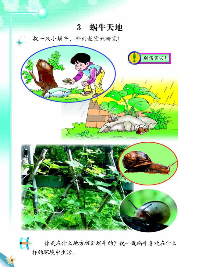 人教版二年级科学第三册(03生活与科技)电子课本3 蜗牛天地(第10页)