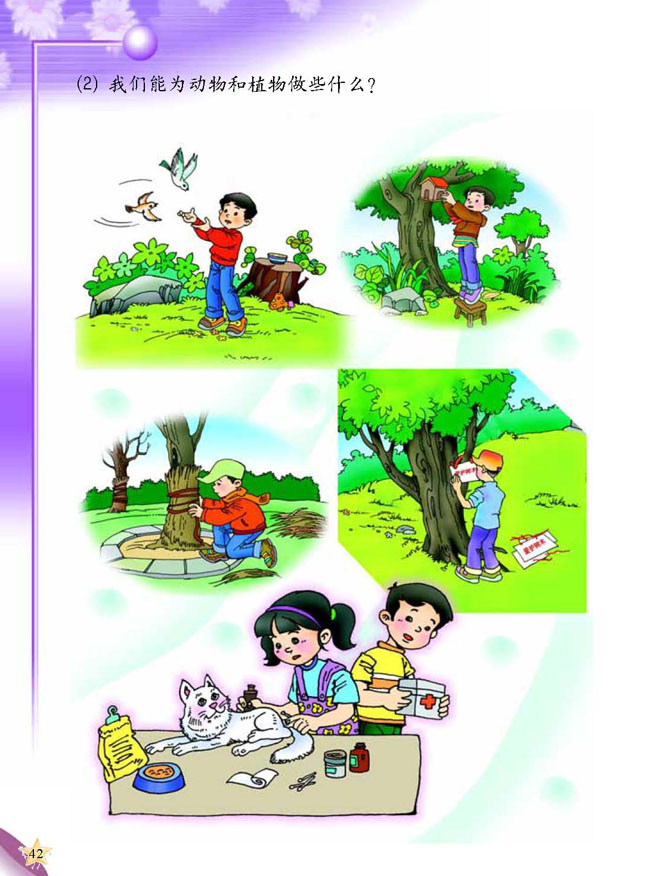 人教版二年级科学第三册(03生活与科技)电子课本3 动物的家(第42页)