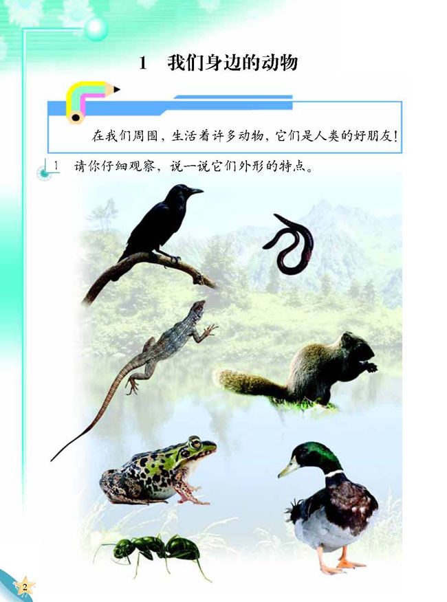人教版二年级科学第三册(03生活与科技)电子课本1 我们身边的动物(第2页)