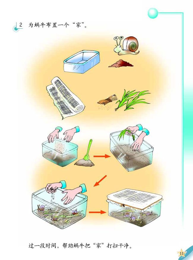人教版二年级科学第三册(03生活与科技)电子课本3 蜗牛天地(第11页)