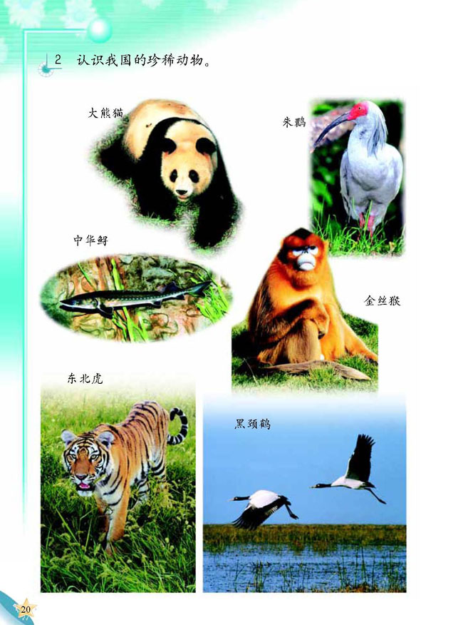 人教版二年级科学第三册(03生活与科技)电子课本5 爱护动物(第20页)