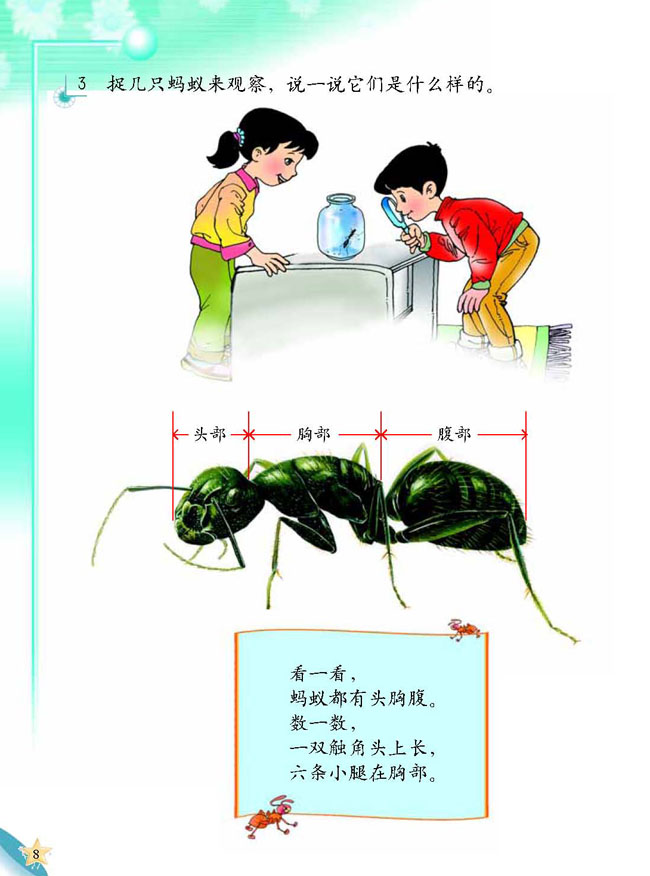 人教版二年级科学第三册(03生活与科技)电子课本2 蚂蚁王国(第8页)