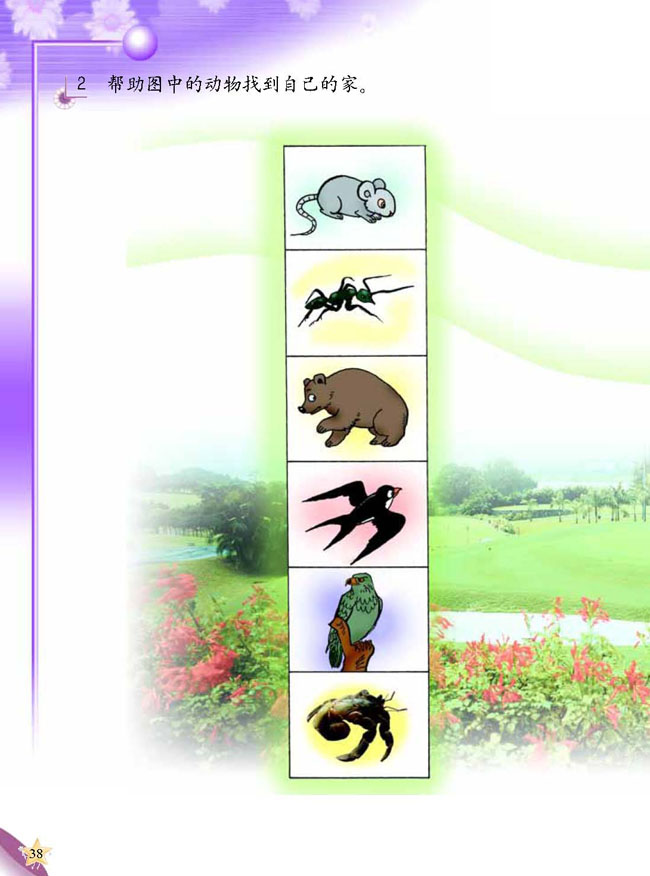 人教版二年级科学第三册(03生活与科技)电子课本3 动物的家(第38页)