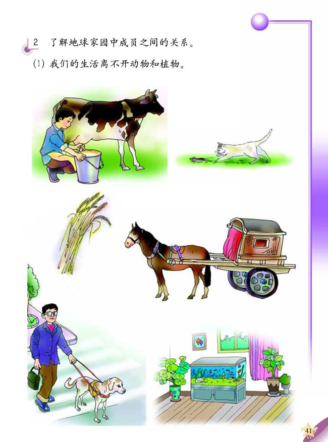 人教版二年级科学第三册(03生活与科技)电子课本3 动物的家(第41页)