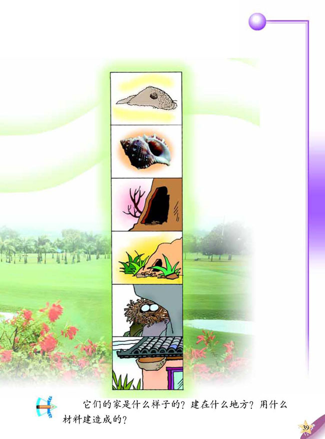 人教版二年级科学第三册(03生活与科技)电子课本3 动物的家(第39页)