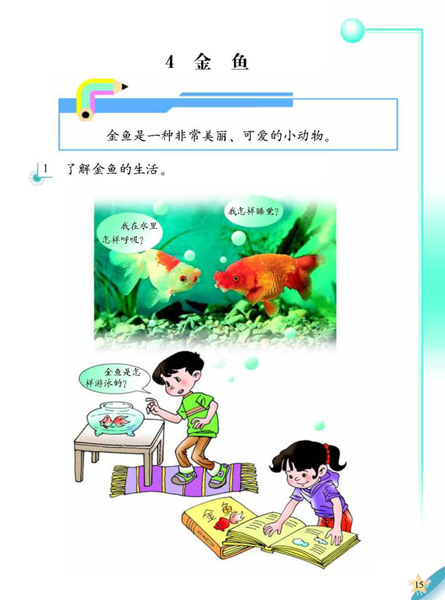 人教版二年级科学第三册(03生活与科技)电子课本4 金鱼(第15页)
