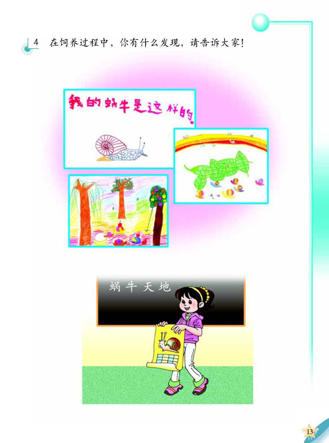人教版二年级科学第三册(03生活与科技)电子课本3 蜗牛天地(第13页)
