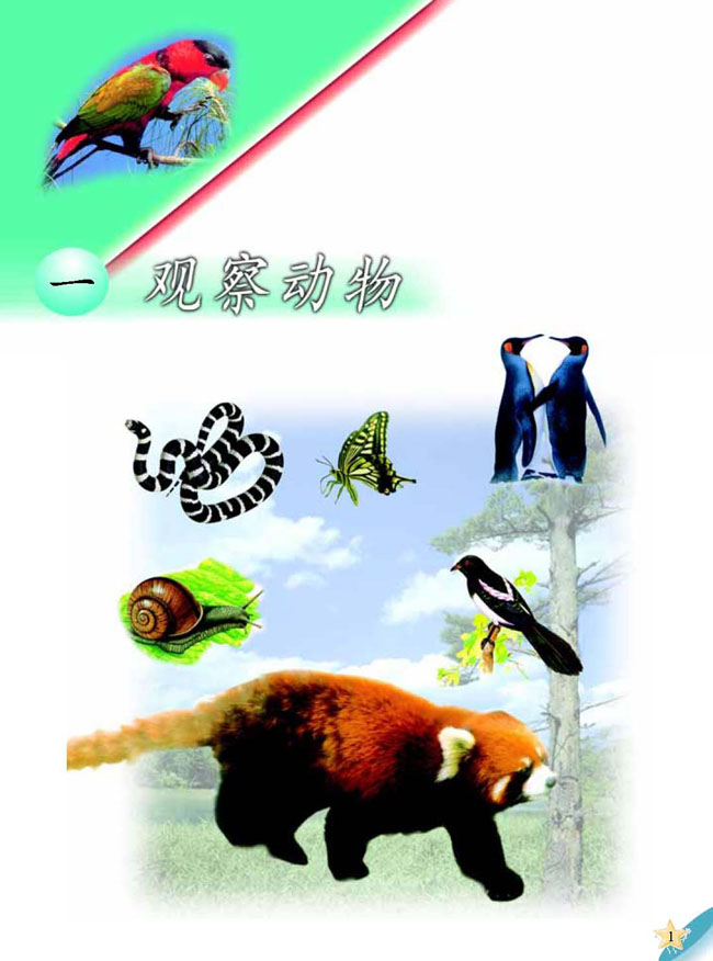 人教版二年级科学第三册(03生活与科技)电子课本一 观察动物(第1页)