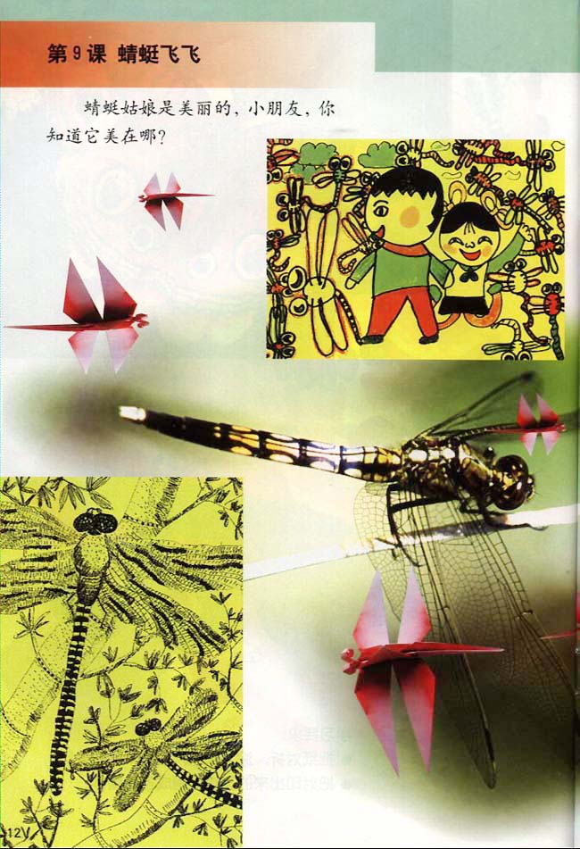 小学二年级美术上册第9课　蜻蜓飞飞