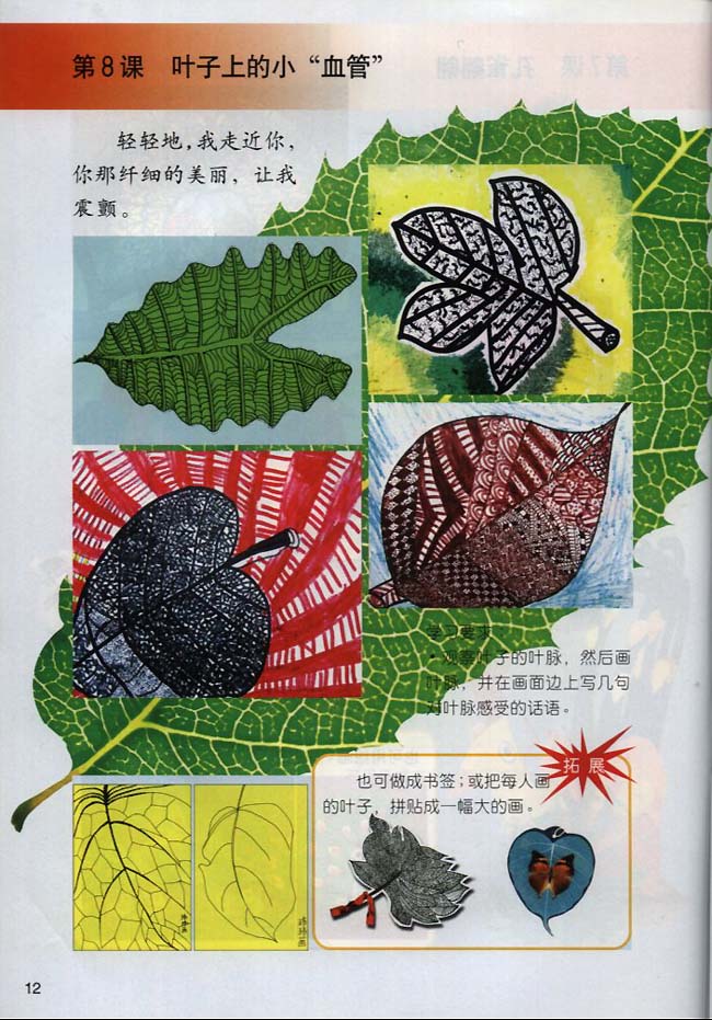 小学二年级美术下册第８课叶子上的小“血管”