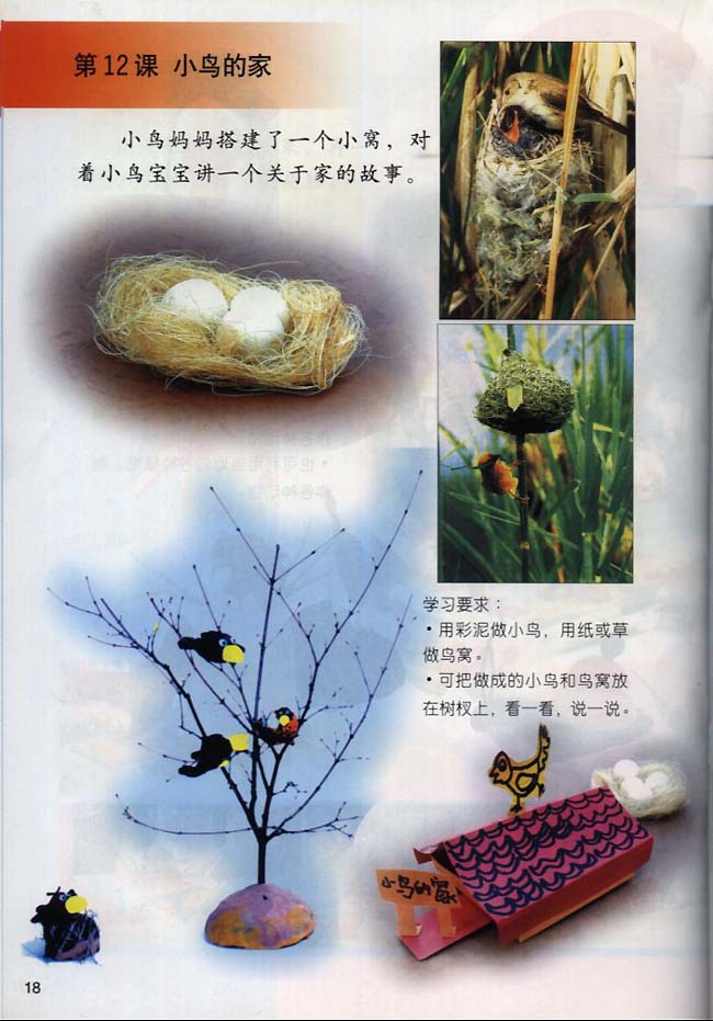 小学二年级美术下册第12课小鸟的家