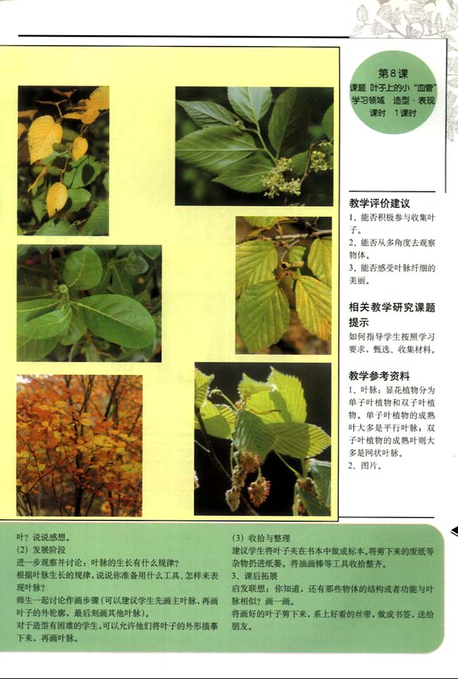 小学二年级美术下册教师教学用书教学评价建议