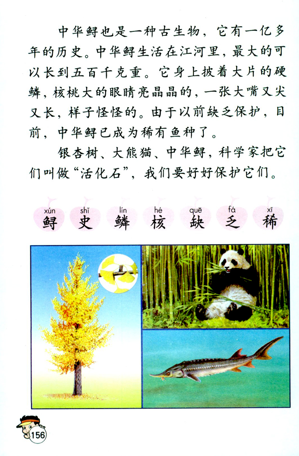 33 活化石(第156页)