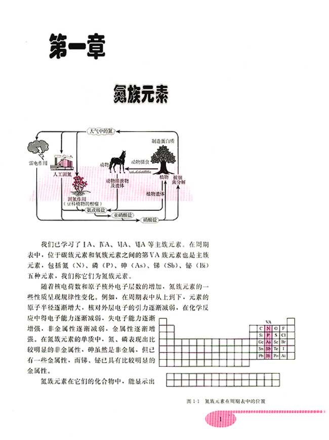 第一章 氮族元素(第1页)