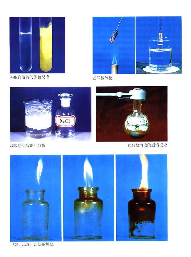 封面/前言/目录