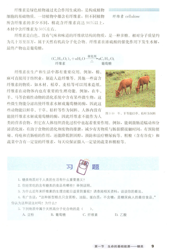 第一节 生命的基础能源――糖类(第11页)