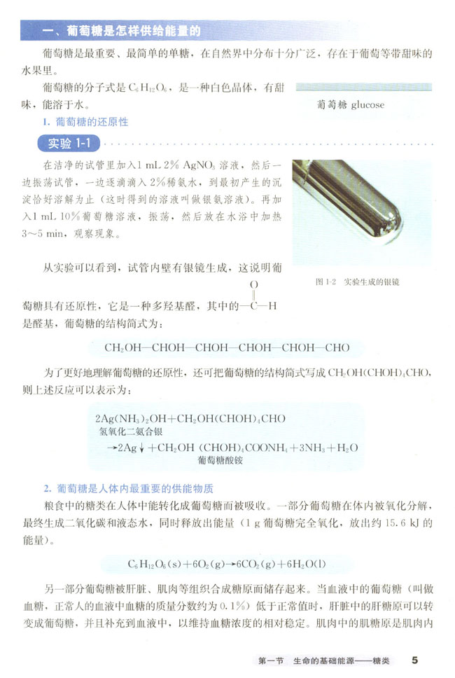 第一节 生命的基础能源――糖类(第7页)