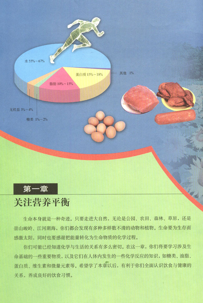 第一章 关注营养平衡(第4页)