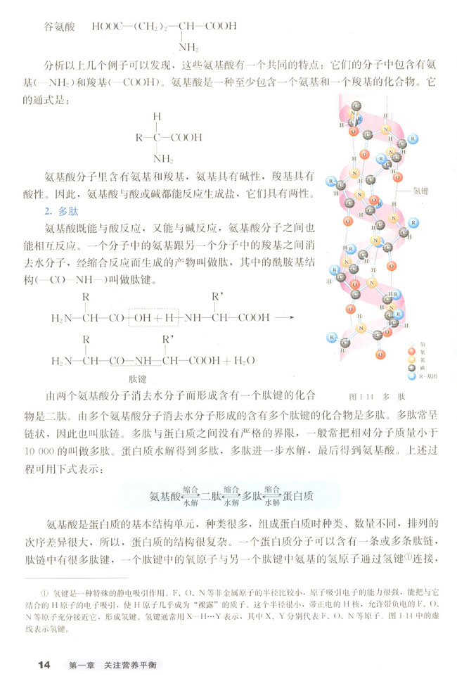 第三节 生命的基础――蛋白质(第16页)