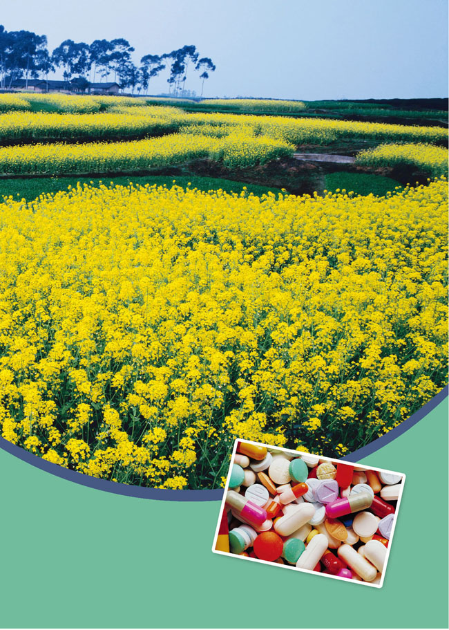 第四单元 化学与技术的发展(第83页)