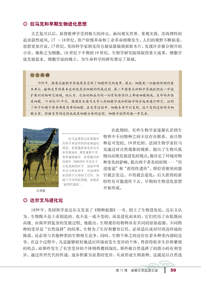 第12课 破解生命起源之谜(第59页)