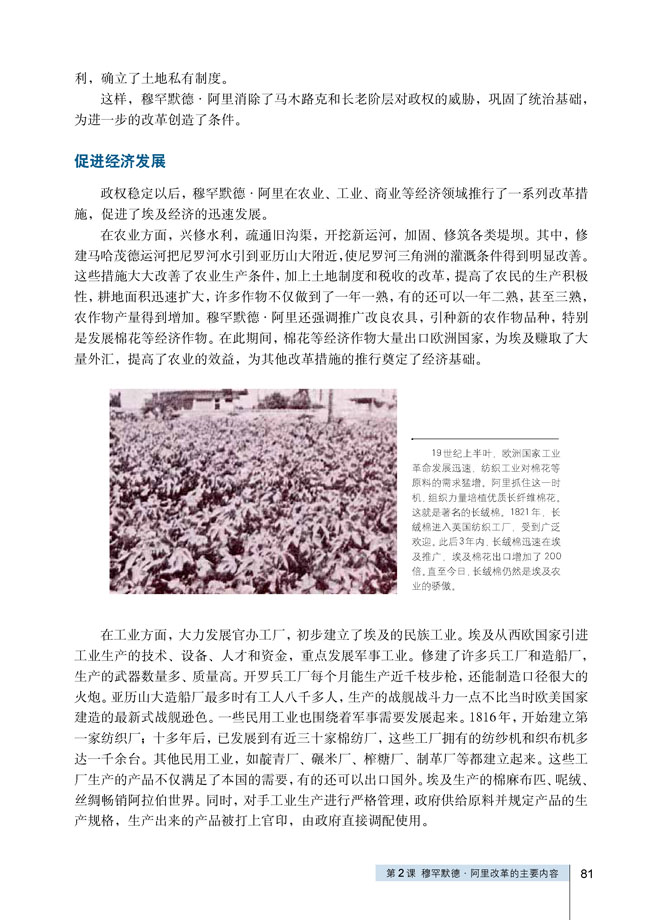第2课 默罕默德阿里改革的主要内容(第80页)