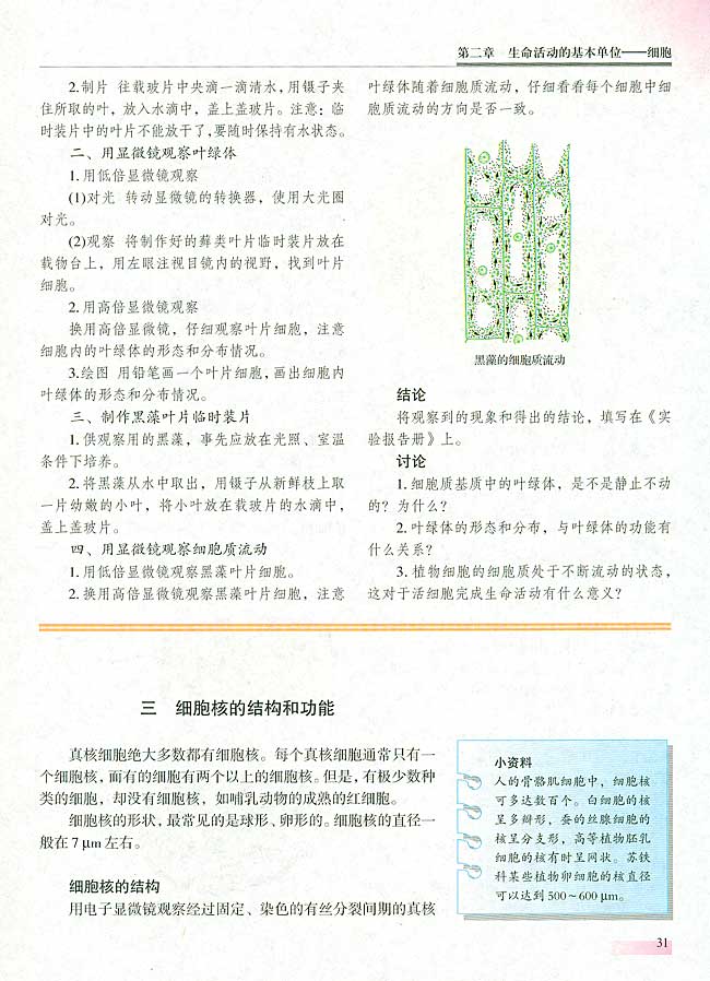 三 细胞核的结构和功能(第30页)