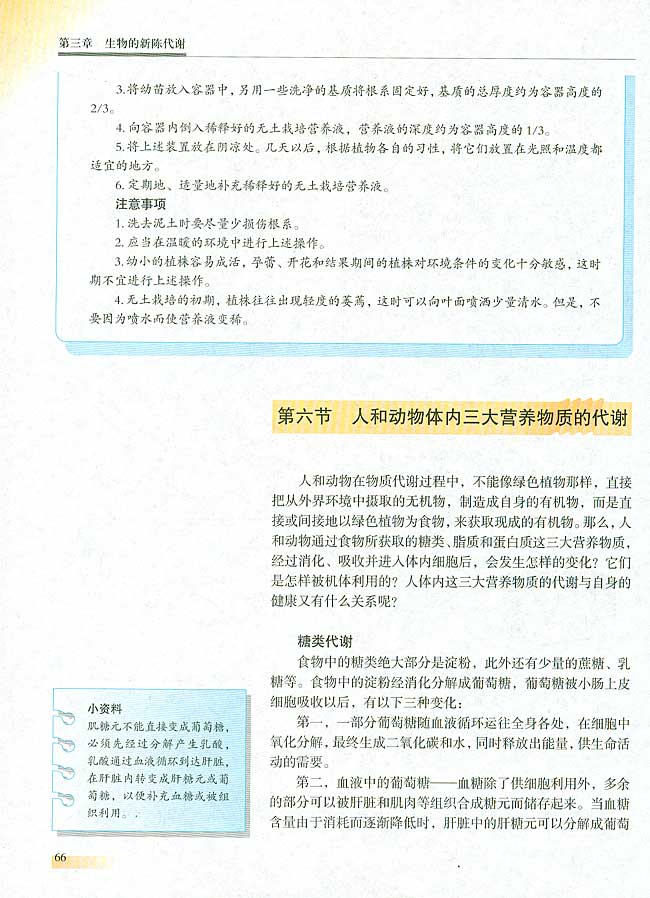 第六节 人和动物体内三大营养物质的代谢(第66页)