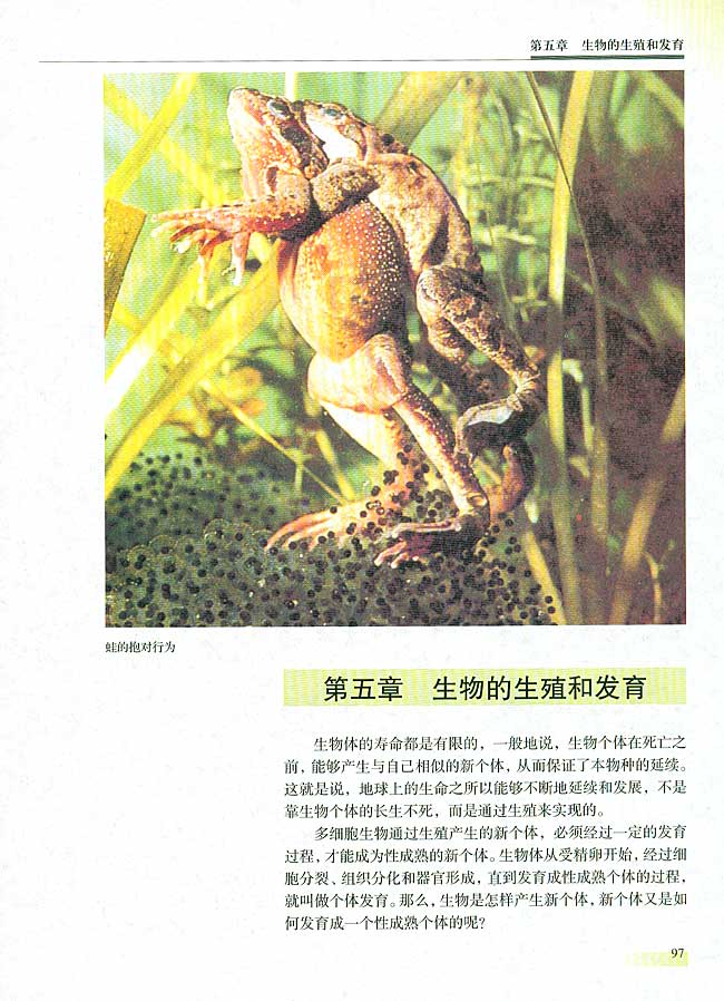 第五章 生物的生殖和发育(第97页)