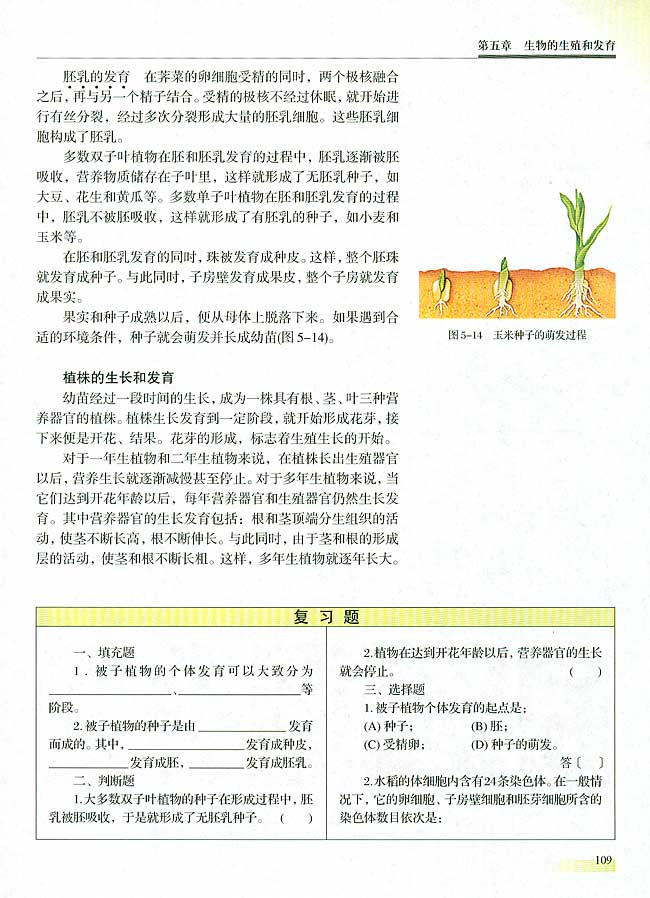 第二节 生物的个体发育  一 被子植物的个体发育(第109页)
