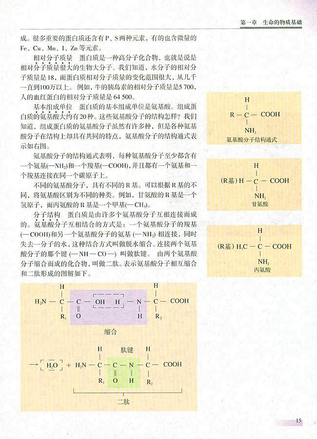 第二节 组成生物体的化合物(第14页)