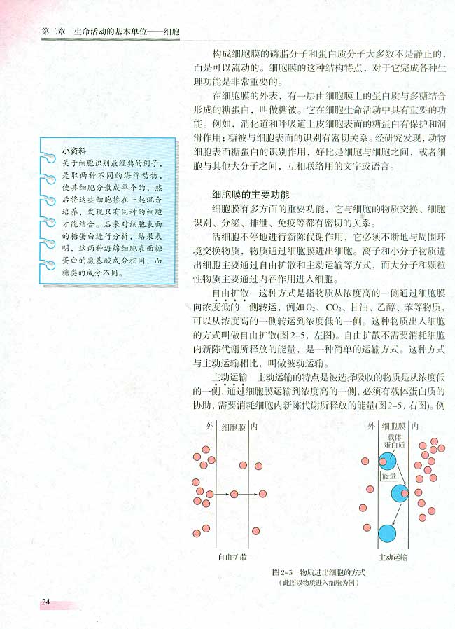 一 细胞膜的结构和功能(第23页)