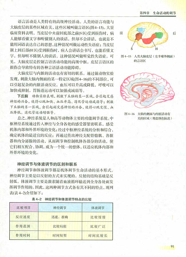 二 神经调节(第91页)