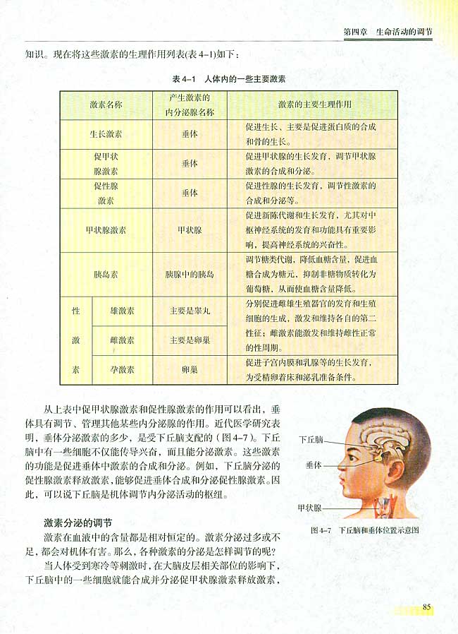 研究性课题 设计实验，观察生长素或生长素类     似物对植物生长发育的影响 第二节 人和高等动物生命活动的调节  一 体液调节(第85页)