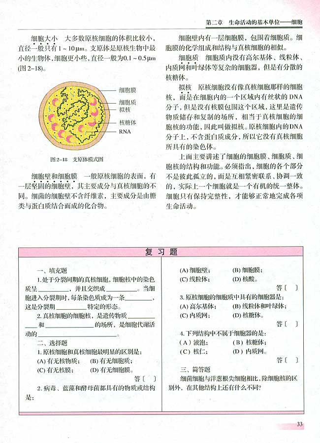 三 细胞核的结构和功能(第32页)