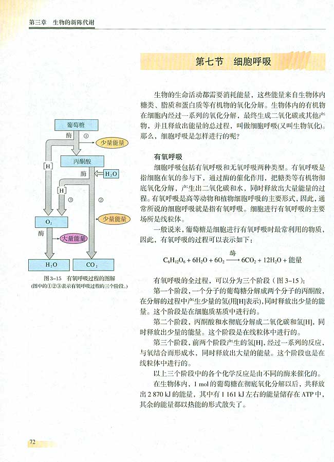 第七节 细胞呼吸(第72页)
