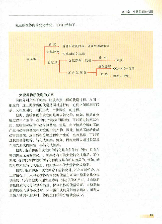 第六节 人和动物体内三大营养物质的代谢(第69页)