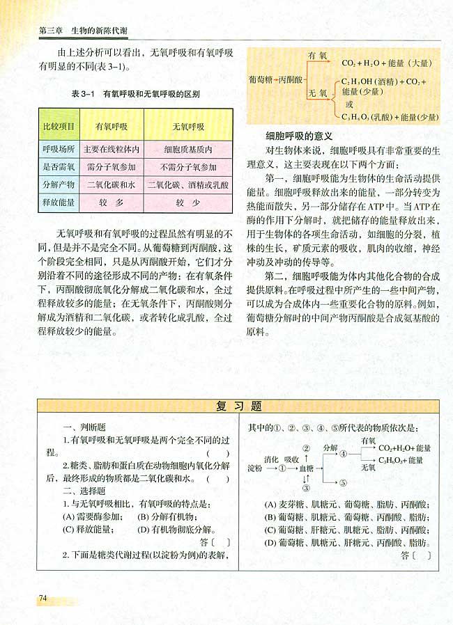第七节 细胞呼吸(第74页)