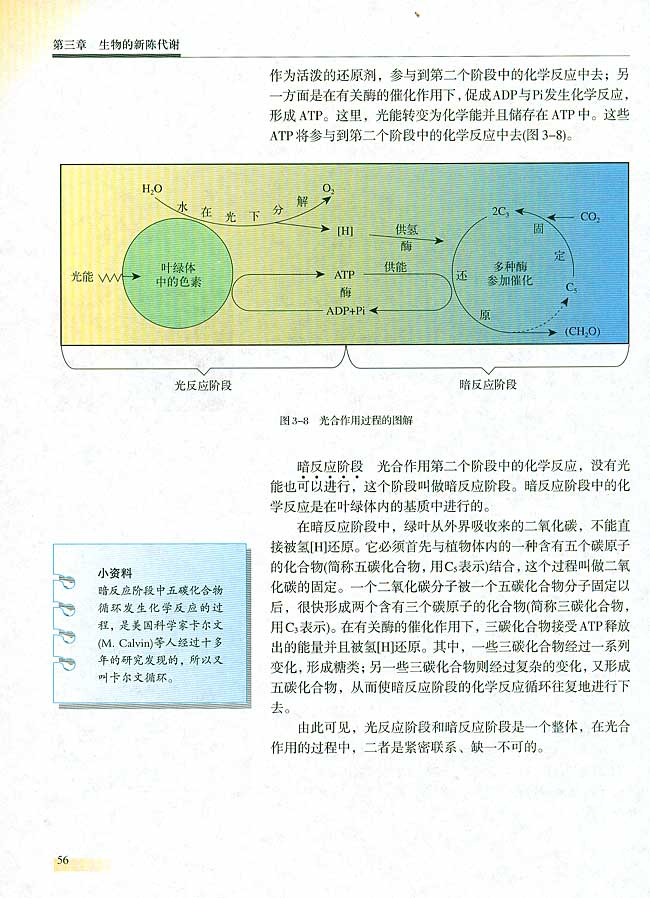 【实验六】 叶绿体中色素的提取和分离(第56页)