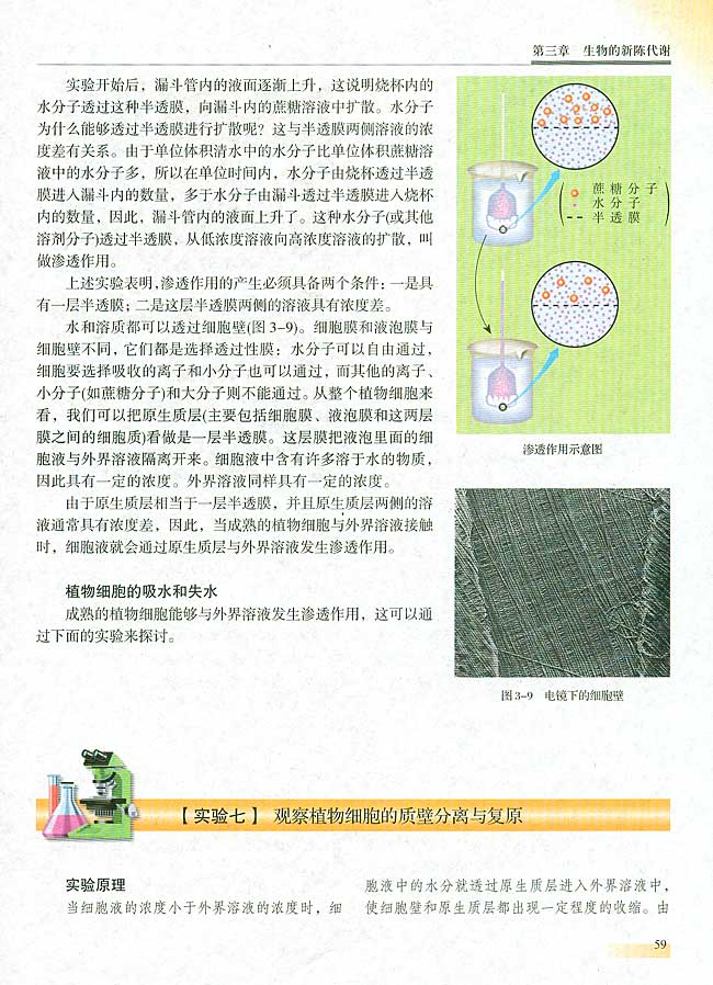 【实验七】 观察植物细胞的质壁分离与复原(第59页)