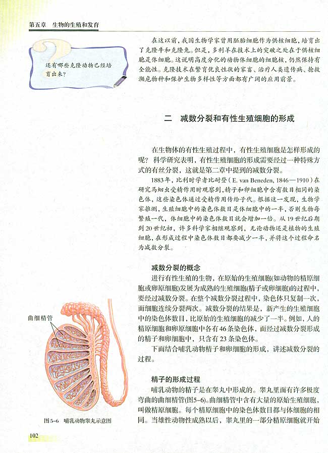 二 减数分裂和有性生殖细胞的形成(第102页)